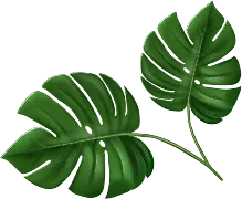 Top Green Leaf Small